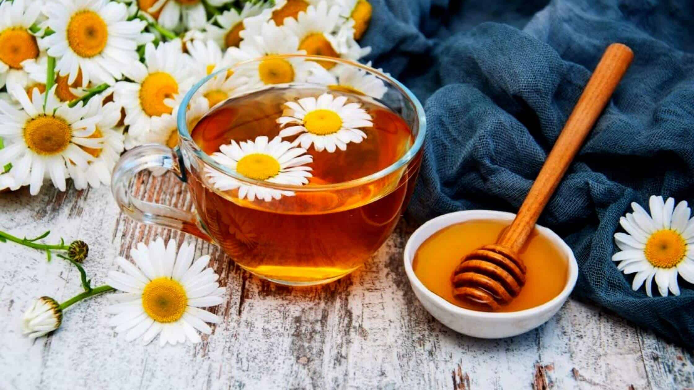 Benefits Of Chamomile Tea Check Before You Sip