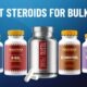 Best Steroids For Bulking