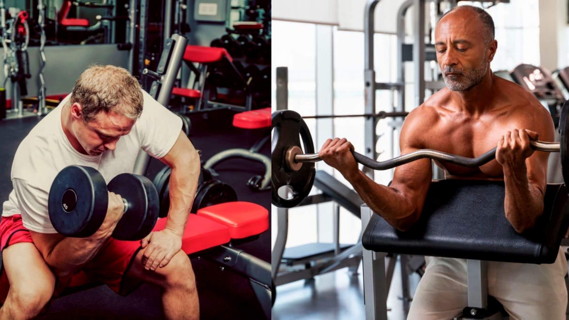 Concentration Curls vs. Preacher Curls All You Need To Know