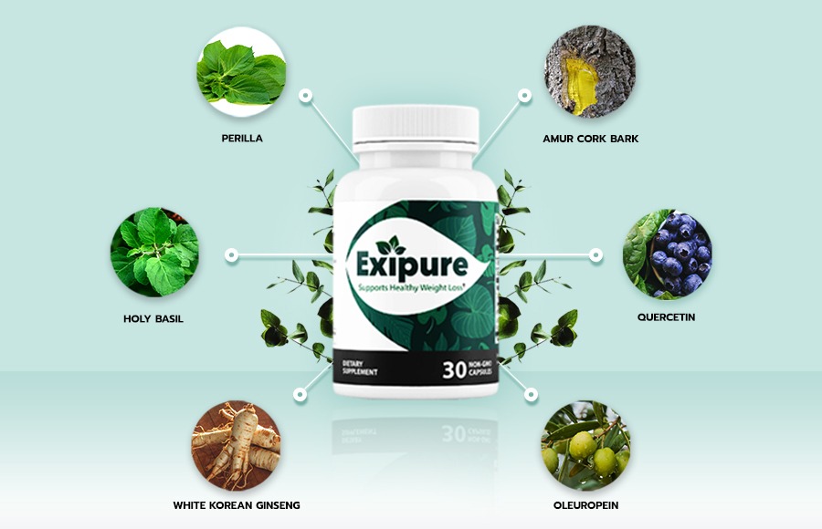 Exipure Ingredients Overview