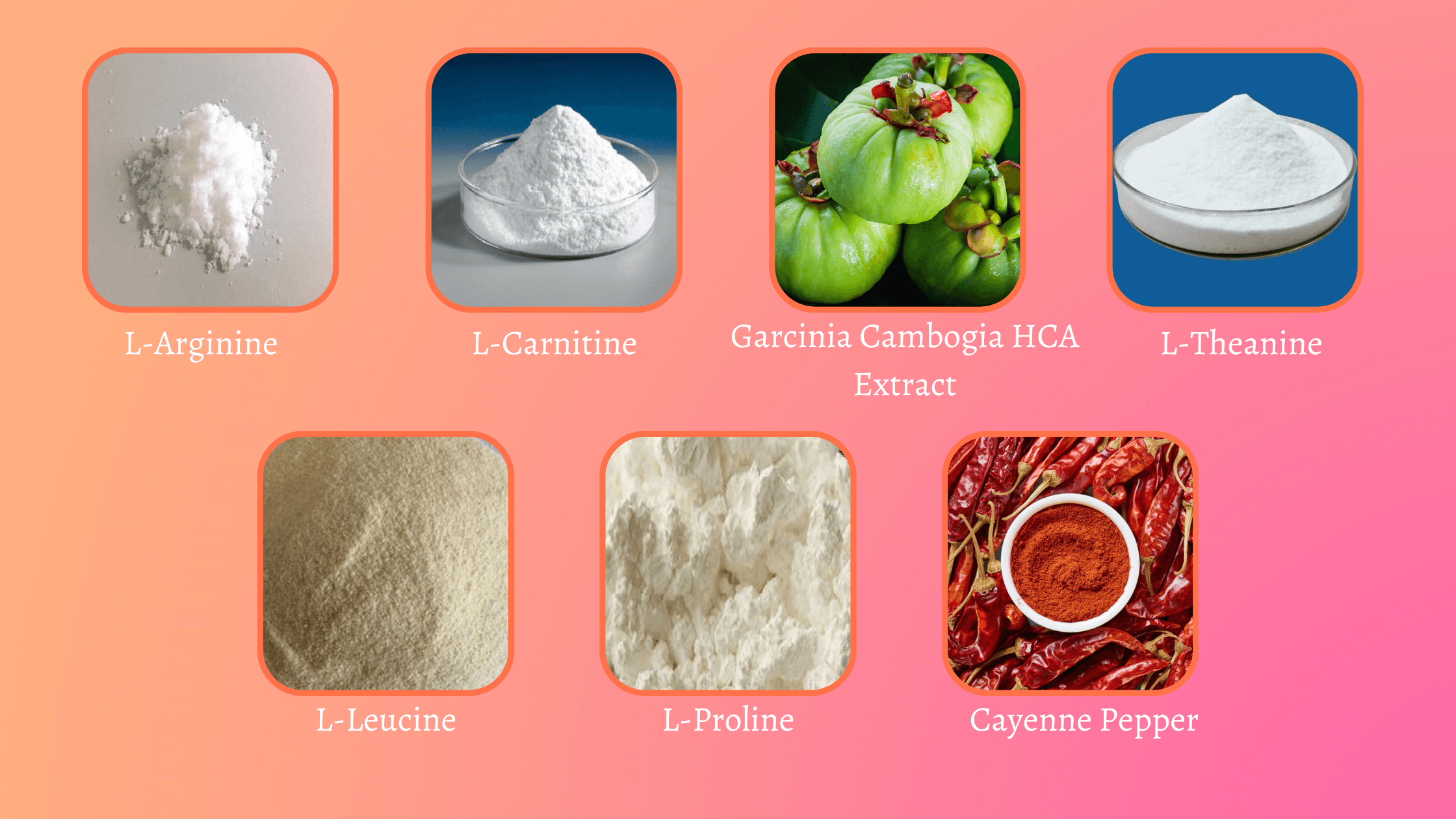 FIGUR Weight Loss Ingredients