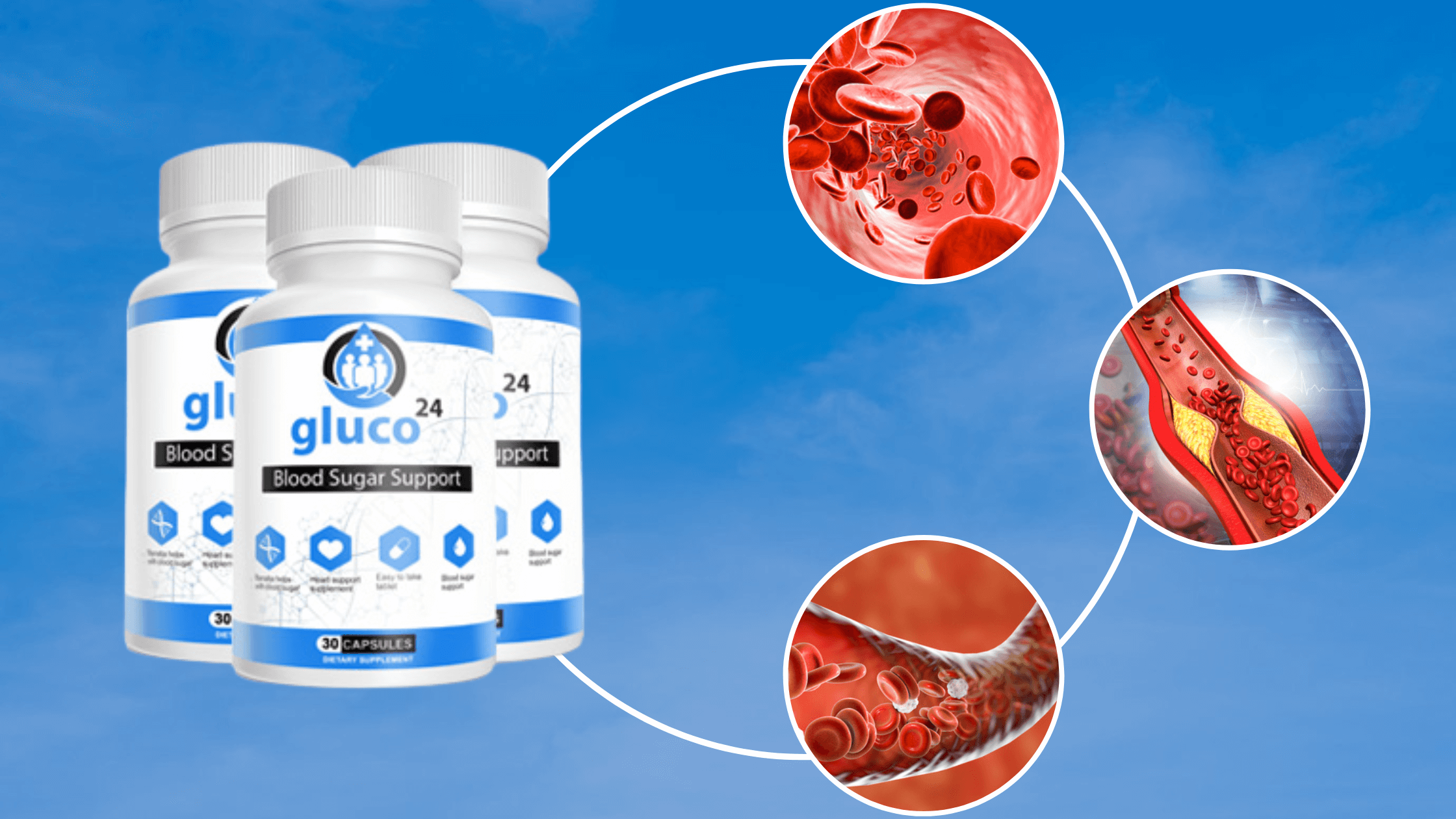 Gluco24 Blood Sugar Support Formula