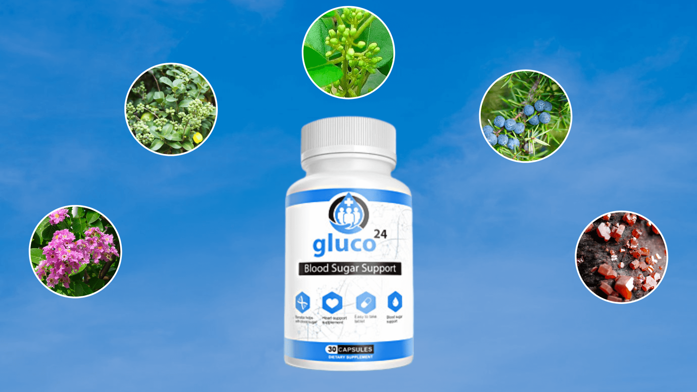 Gluco24 Ingredients