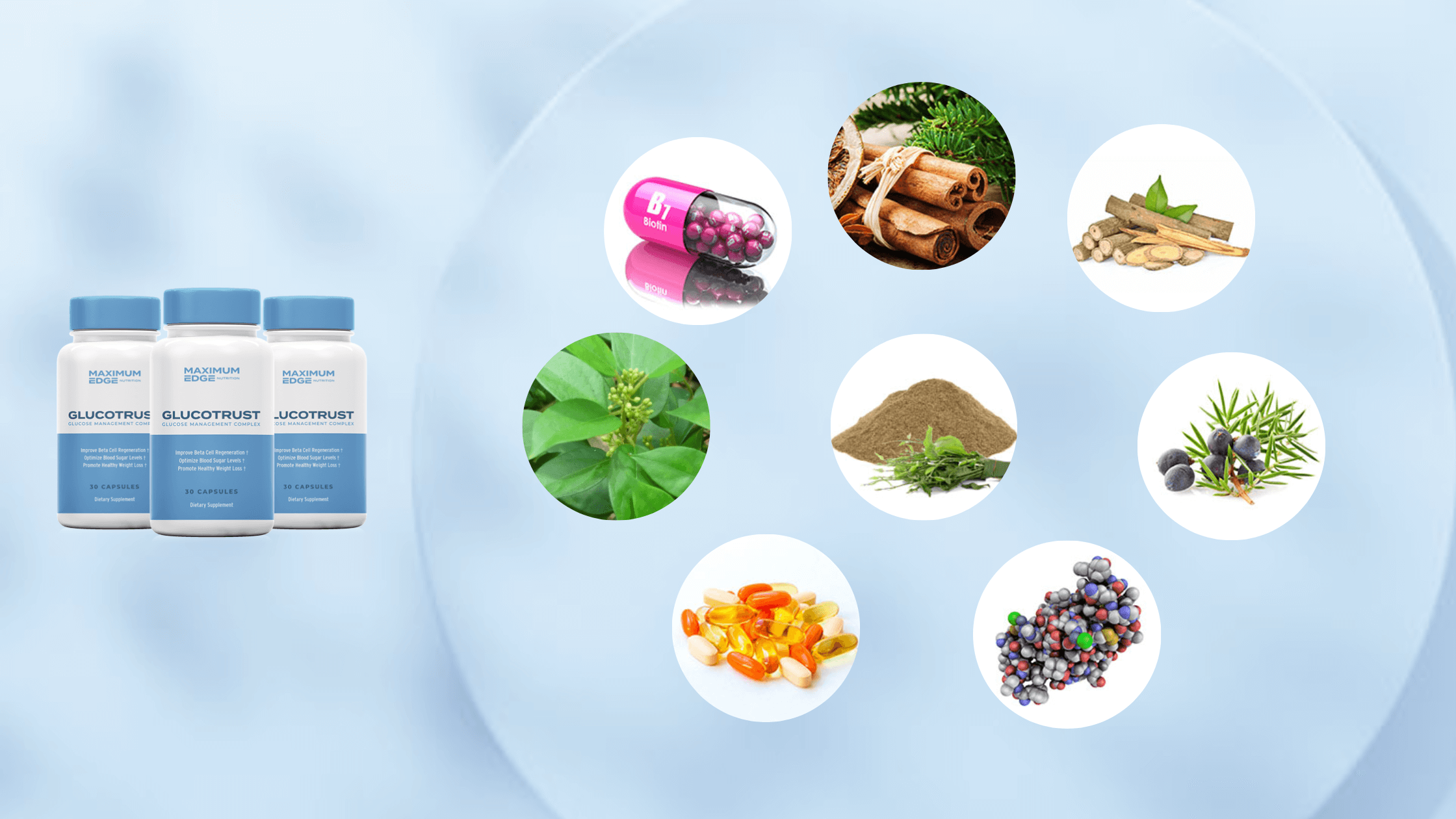 GlucoTrust Ingredients