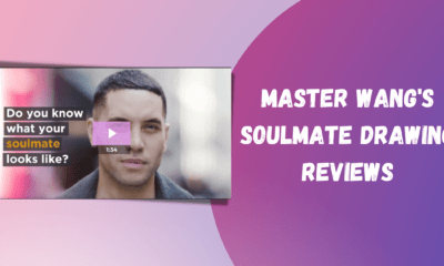 Master Wang's Soulmate Drawing Review