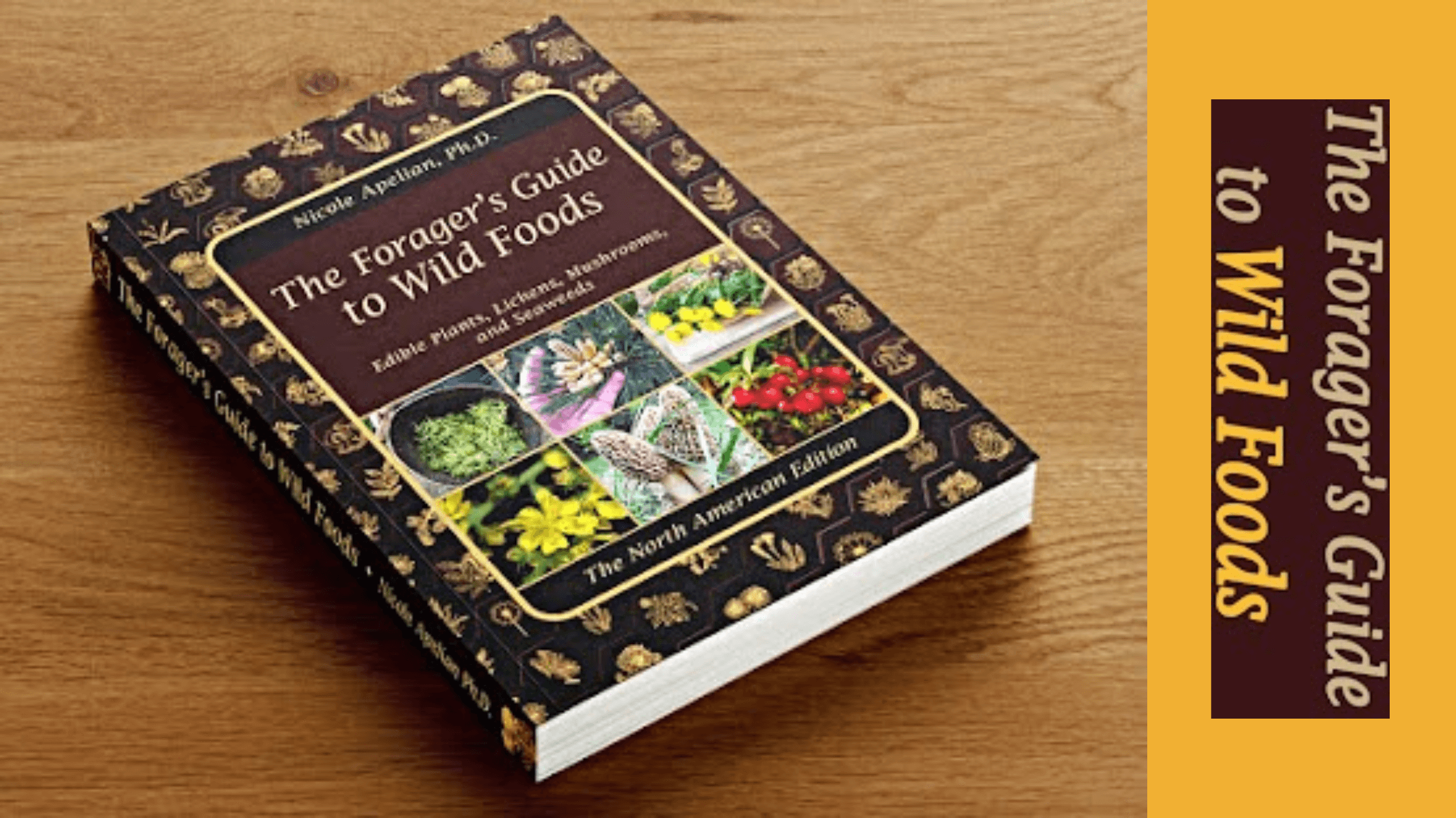 The Forager s Guide To Wild Foods Reviews Is It Legit 