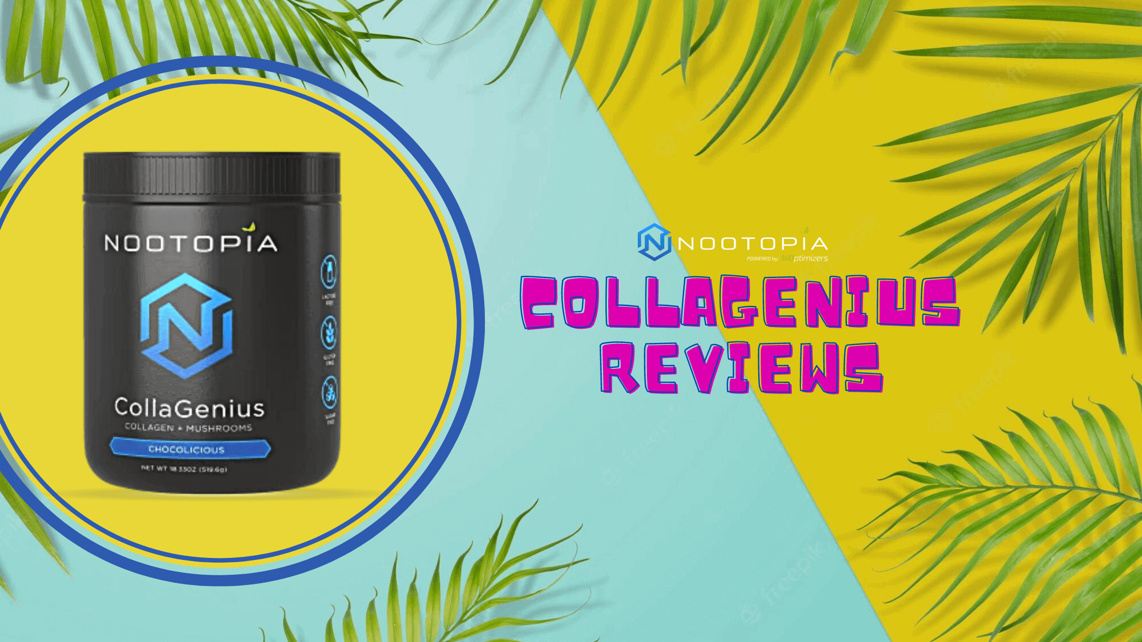 Nootopia CollaGenius Reviews