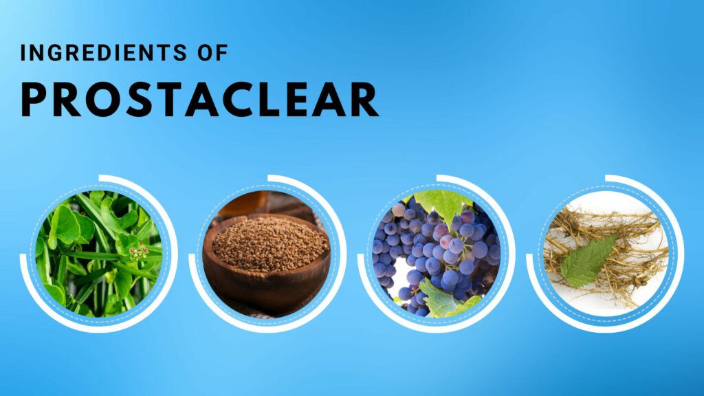 ProstaClear Ingredients