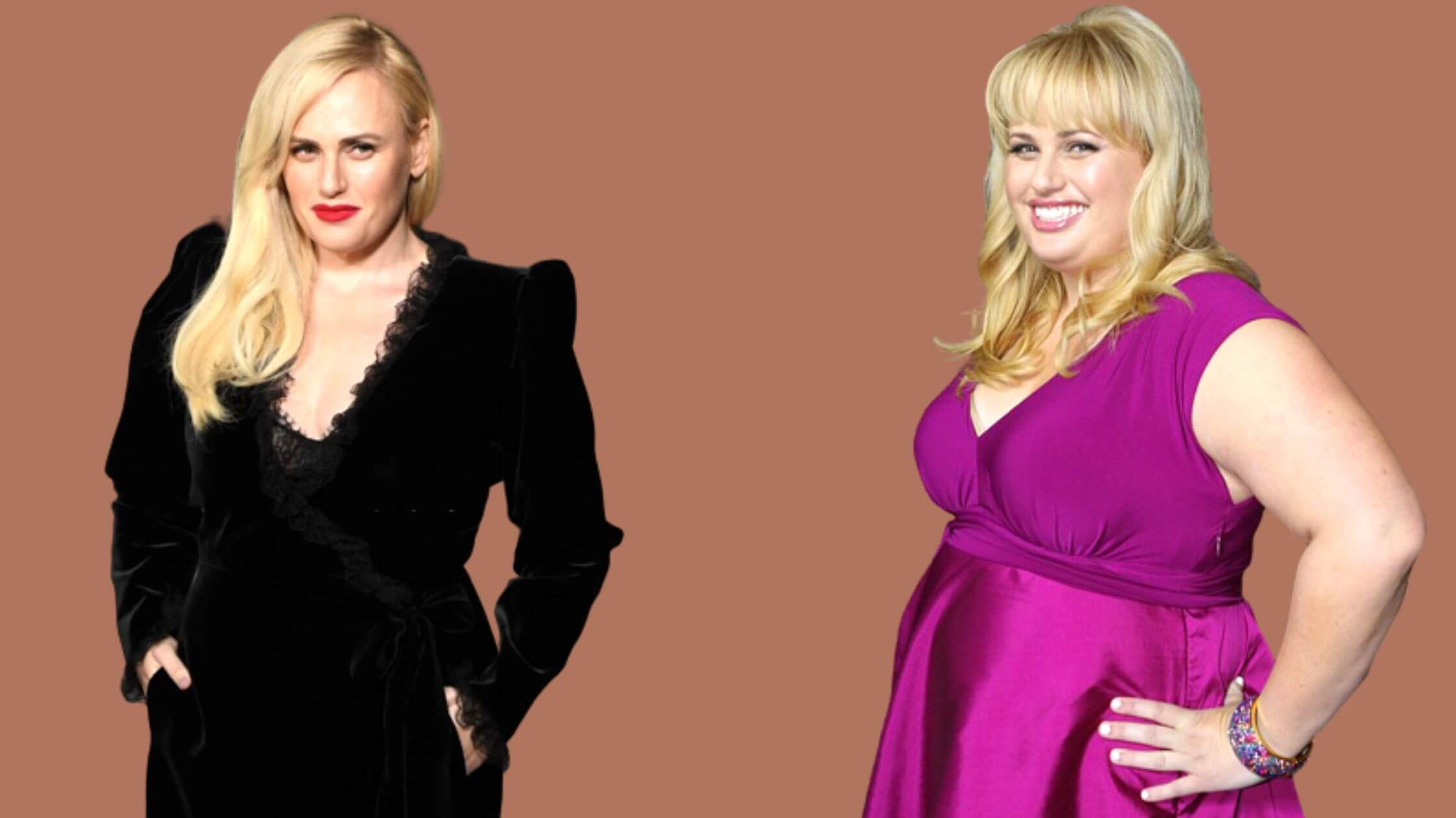 Rebel Wilson Welcome Her Baby To The World