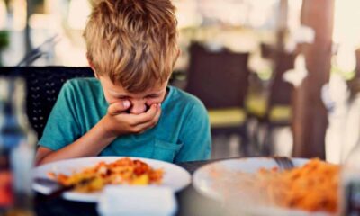 Researchers Trace Neurological Circuits That Cause Vomiting From Contaminated Food