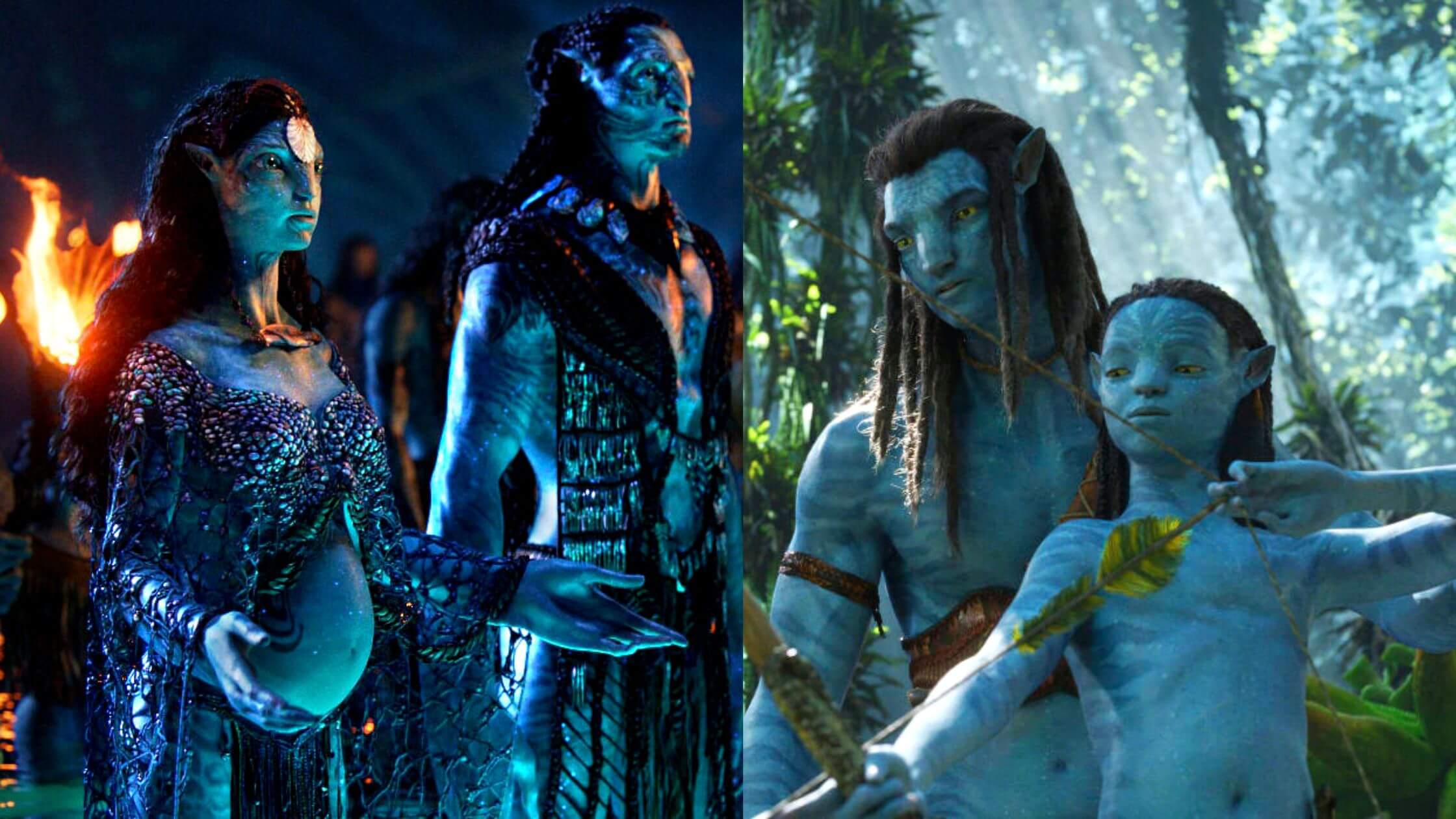 Success Of Avatar Was Incredible