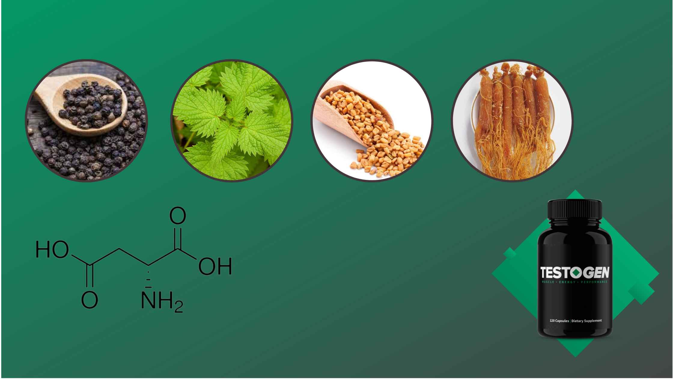  Testogen Ingredients