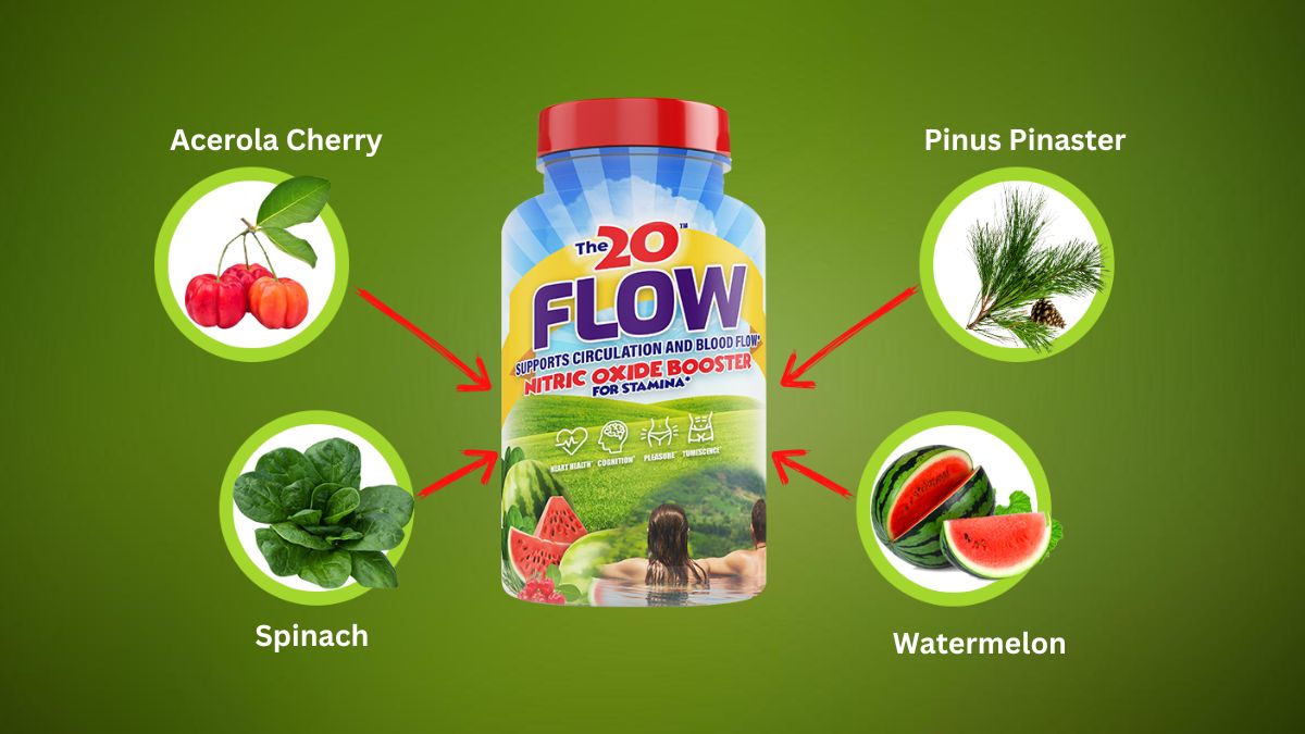 The 20 Flow Ingredients 