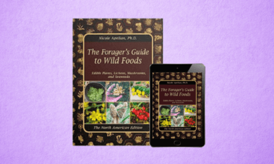 The Forager's Guide to Wild Foods Reviews