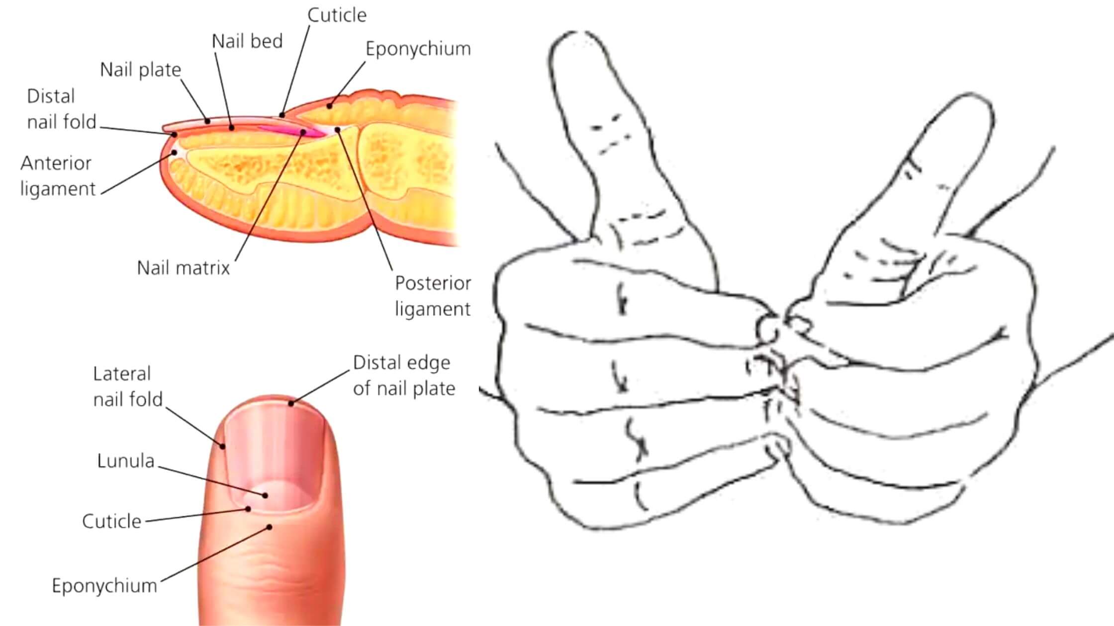 The Scientific Reason Behind Nail Rubbing