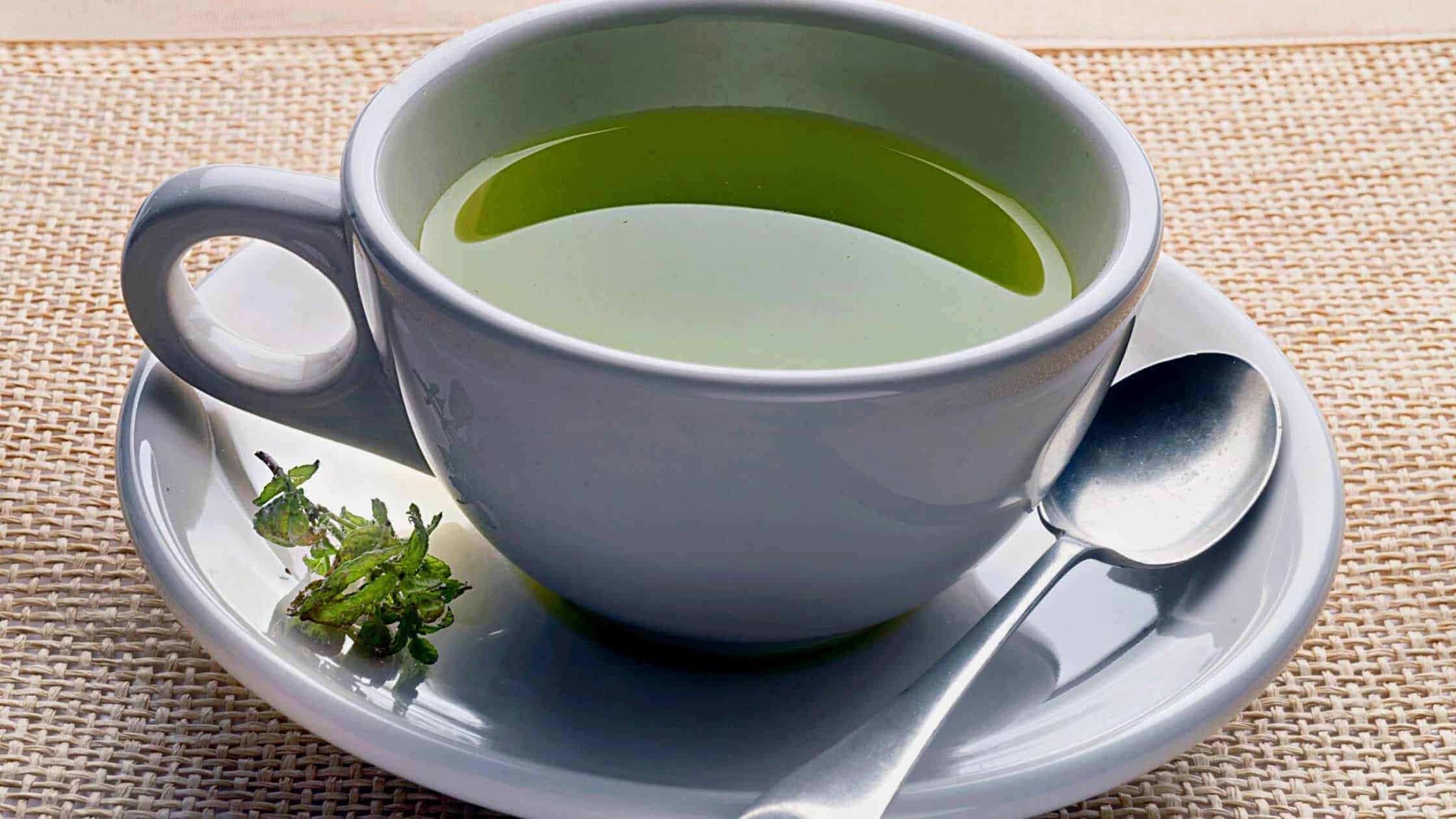 Which One Is Better For You Green Tea or Green Tea Extract