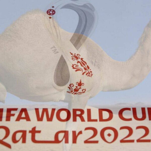 ‘Camel Flu’ Outbreak From World Cup In Qatar: Health Officials Warns