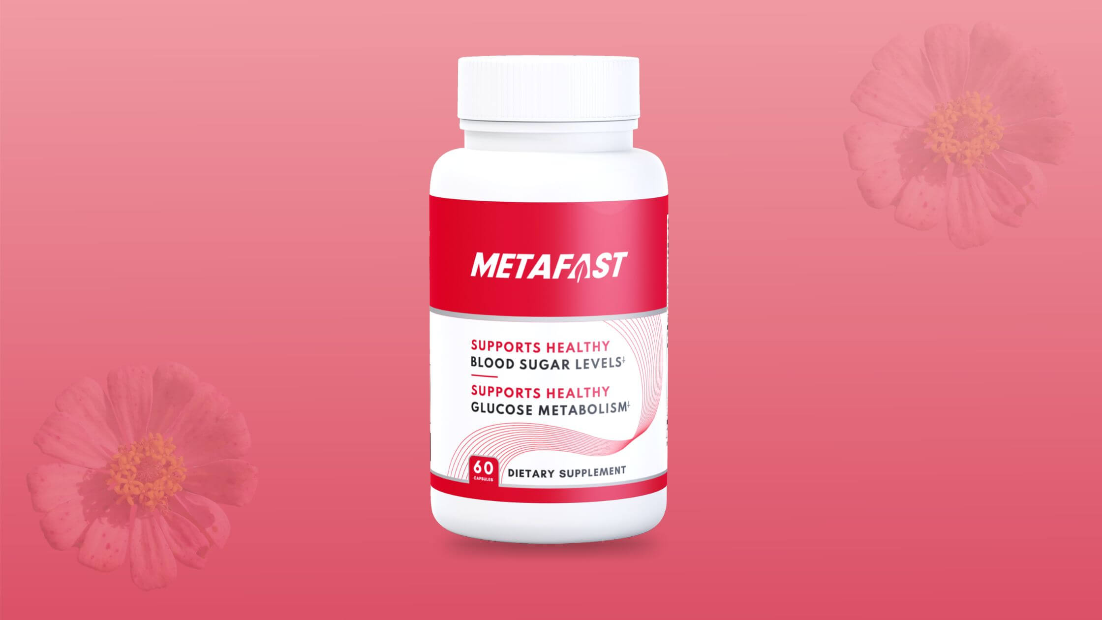 Metafast Reviews