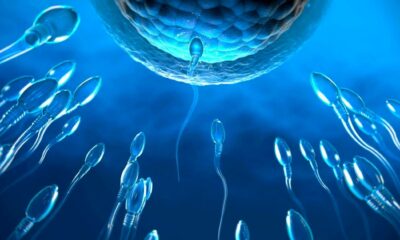 Scientists Search For A Male Contraception That Stops Sperm