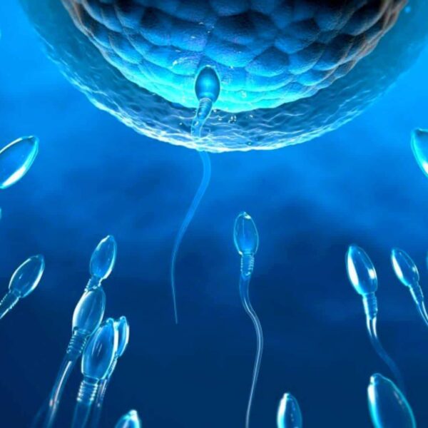 Scientists Search For A Male Contraception That Stops Sperm