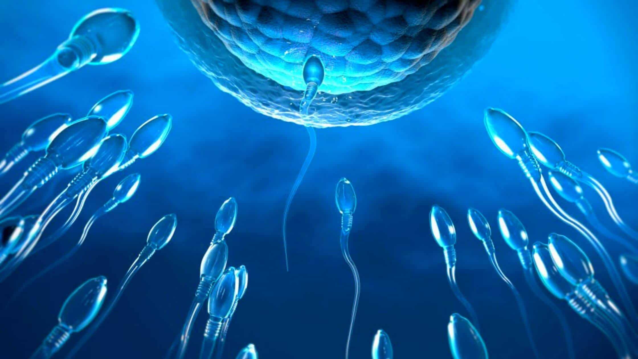 Scientists Search For A Male Contraception That Stops Sperm