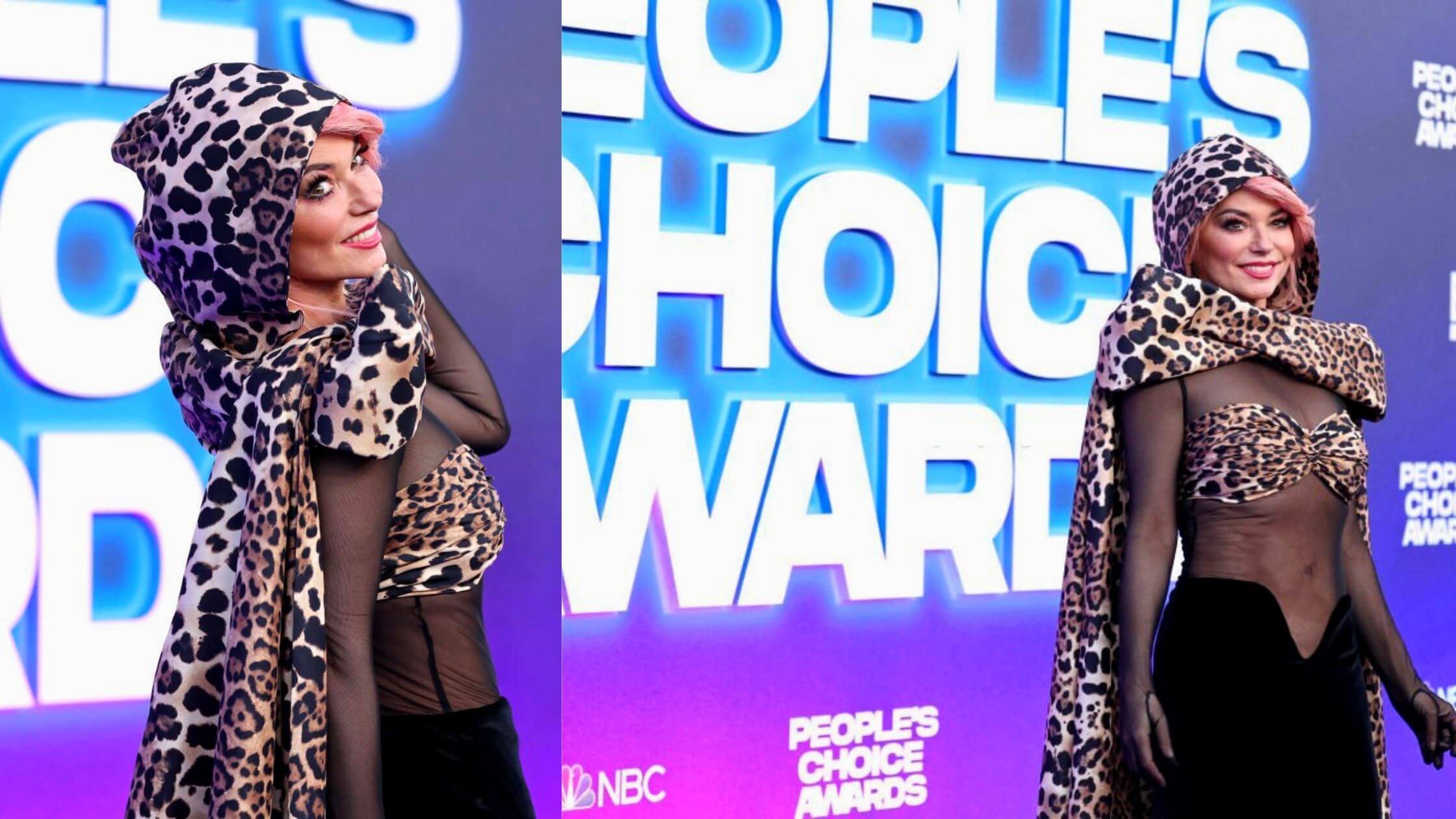 Shania Twain Creating Headlines Again She Swayed In An Iconic Look In The People's Choice Awards!