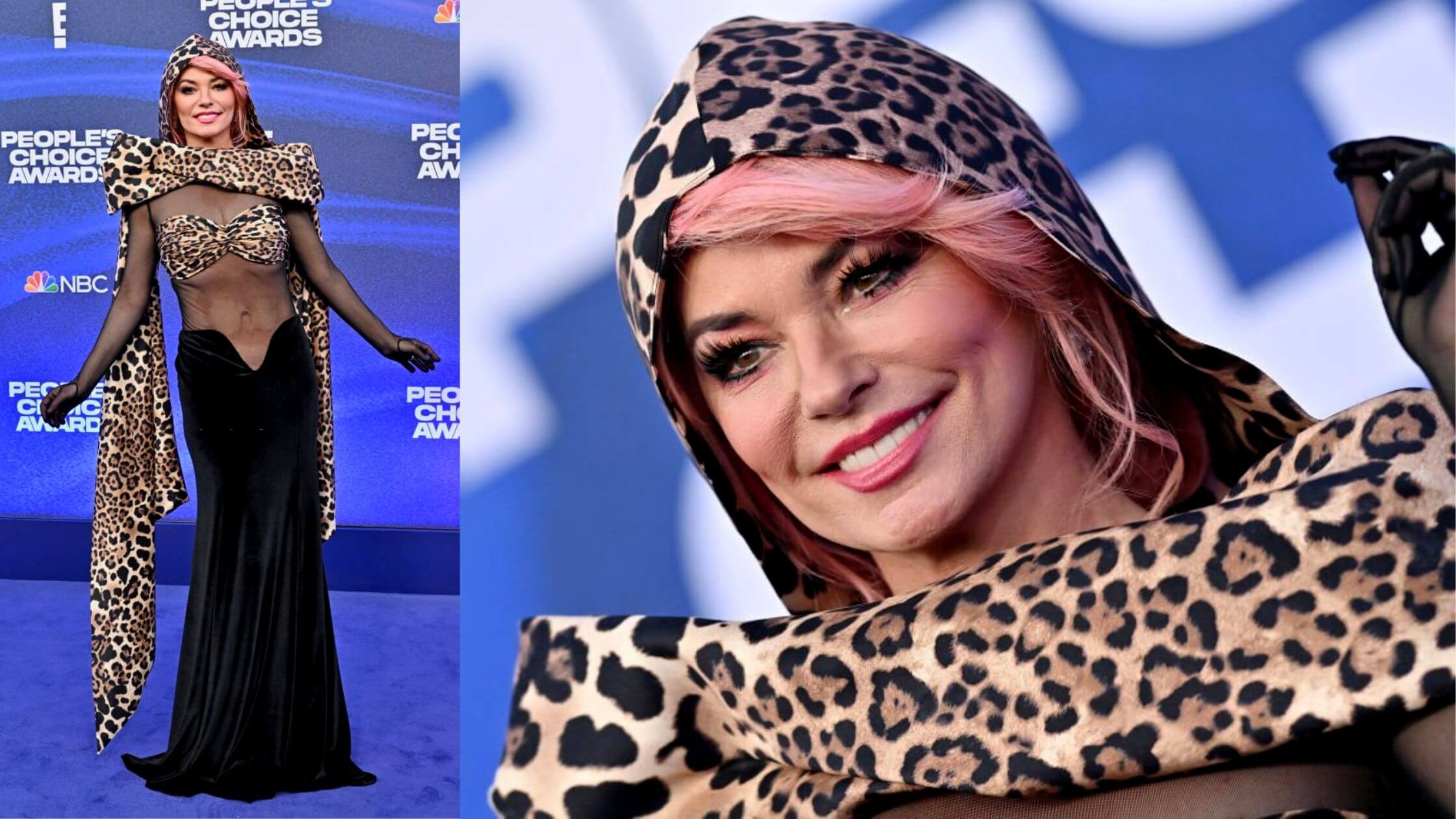 Shania Twain Creating Headlines Again She Swayed In An Iconic Look In The People's Choice Awards!