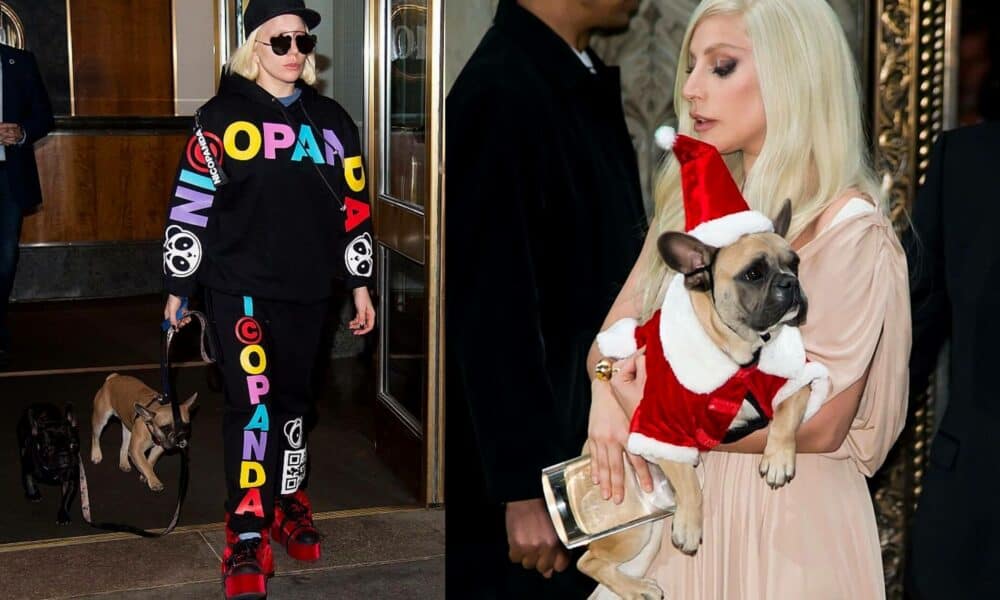 Shooter Of Lady Gaga's Dog Walker Receives 21-Year Prison Term
