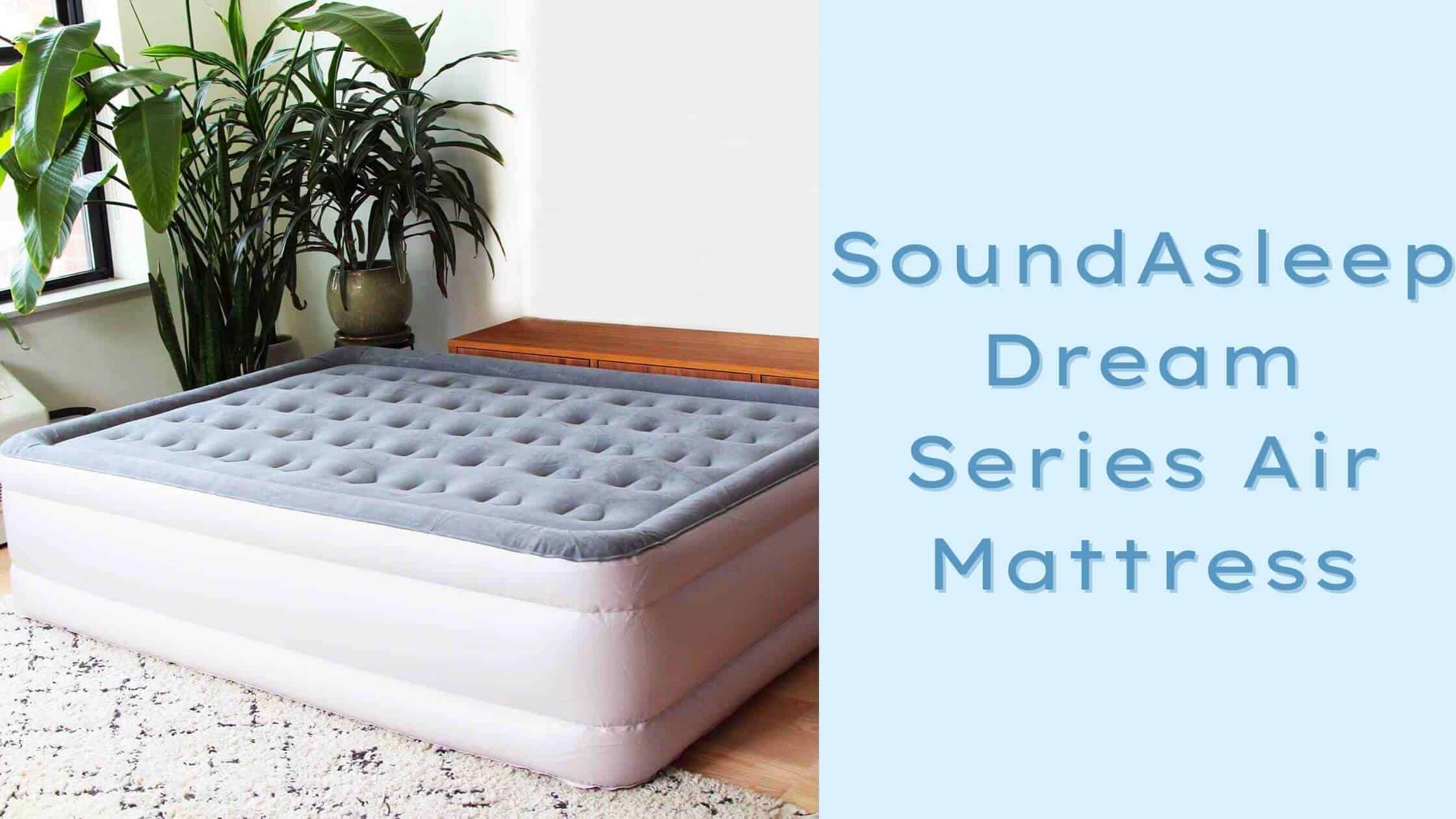 SoundAsleep Dream Series Air Mattress