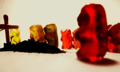 State Of Minnesota Files Suit To Ban 'Death By Gummy Bears' THC Edibles