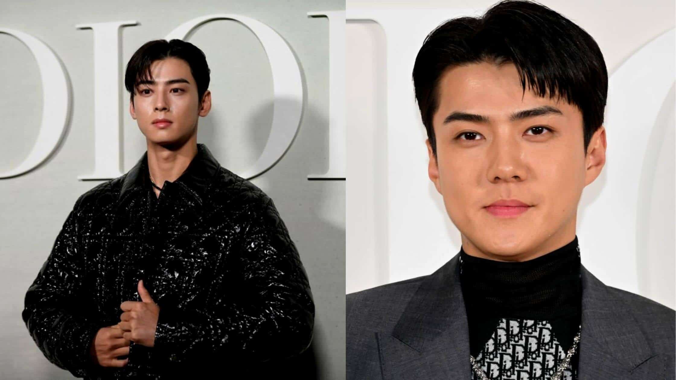 Cha Eun-woo: Cha Eun-woo and Sehun graced the Dior's Men Fall 2023