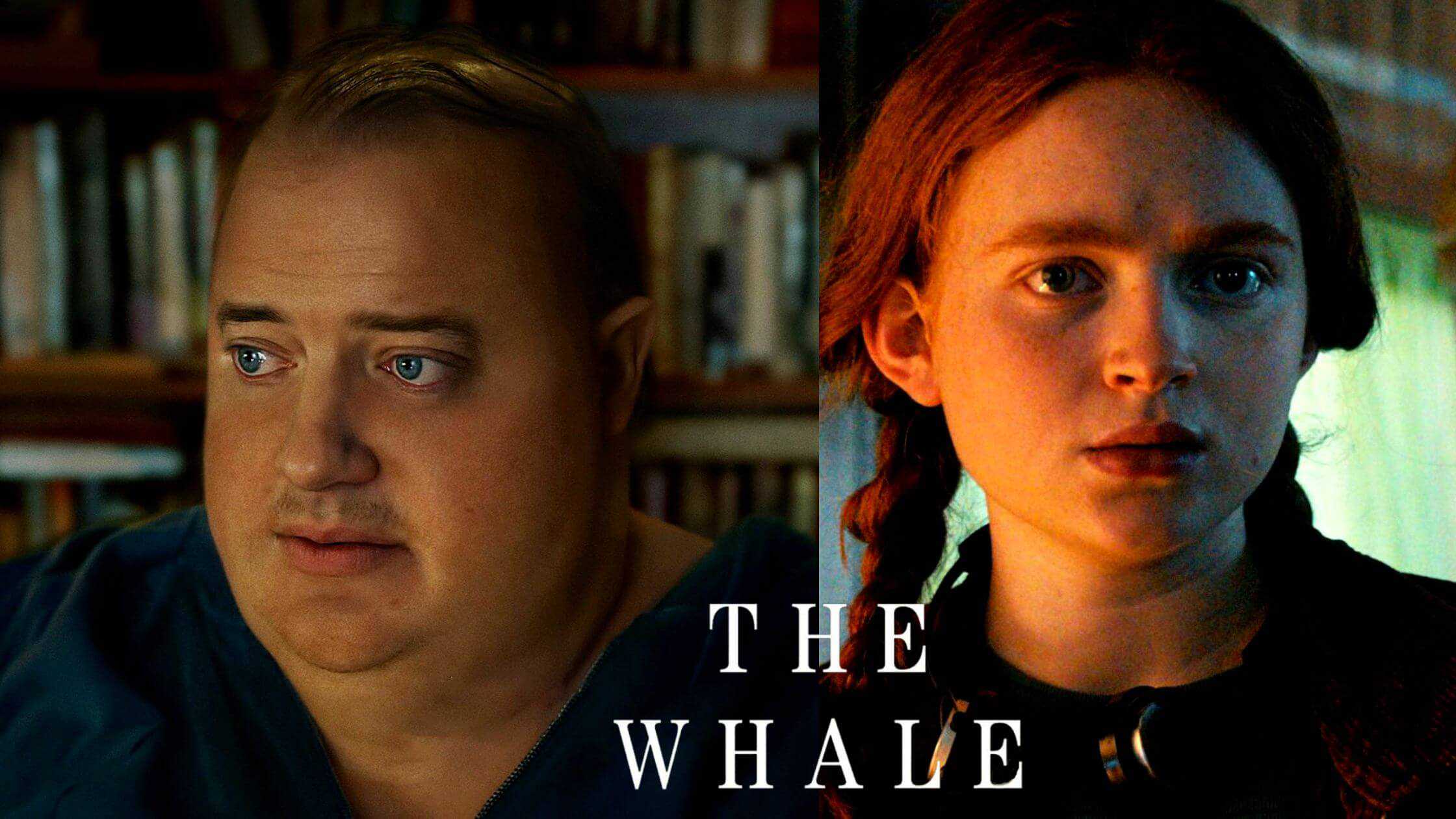 The Whale Movie Review Everything You Need To Know