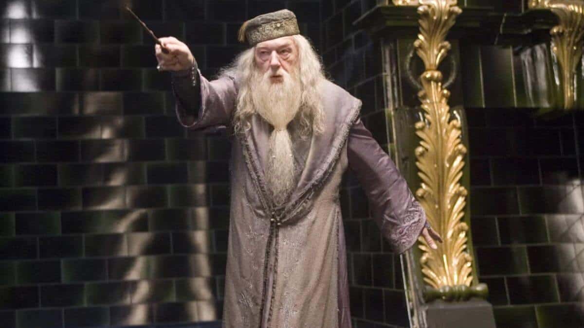 Why do people think Dumbledore is gay