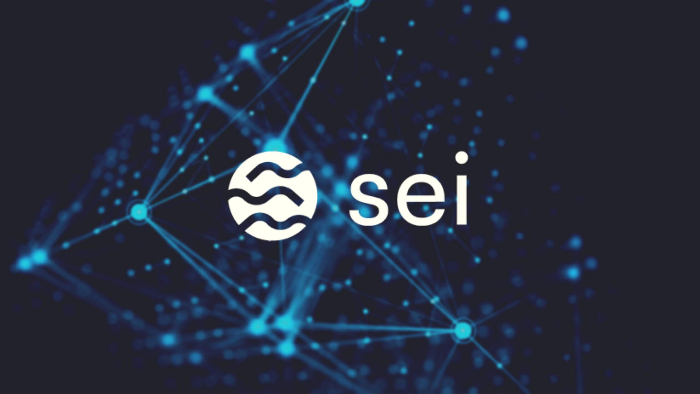 Characteristics Of Sei Network