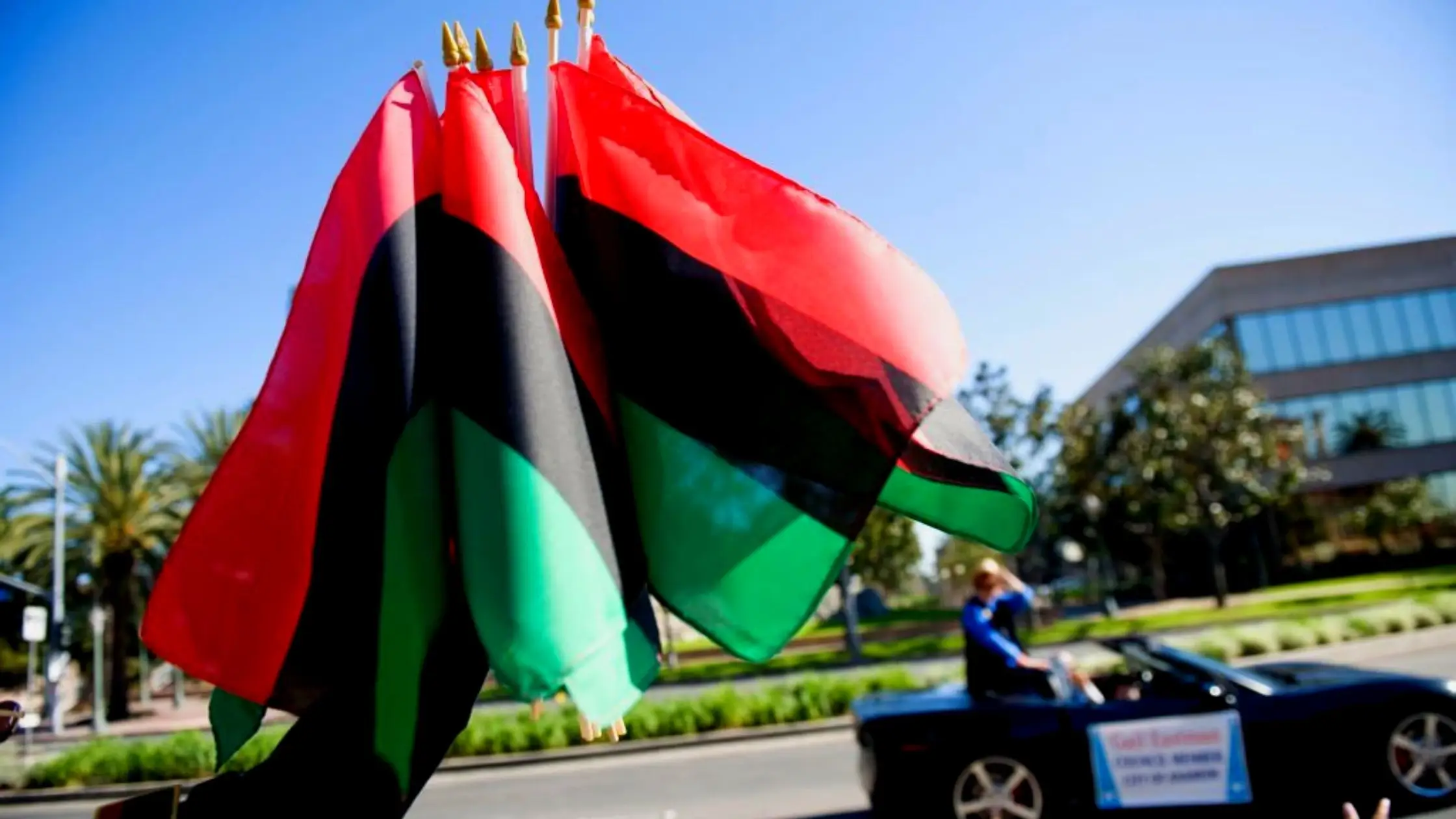 Flag For Black History Month
