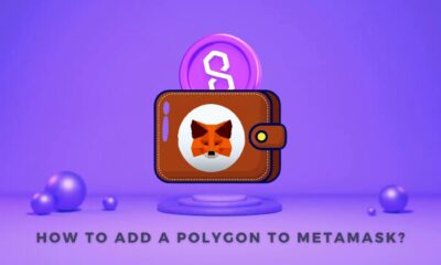 How To Add A Polygon To Metamask Step-By-Step Guide