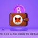 How To Add A Polygon To Metamask Step-By-Step Guide