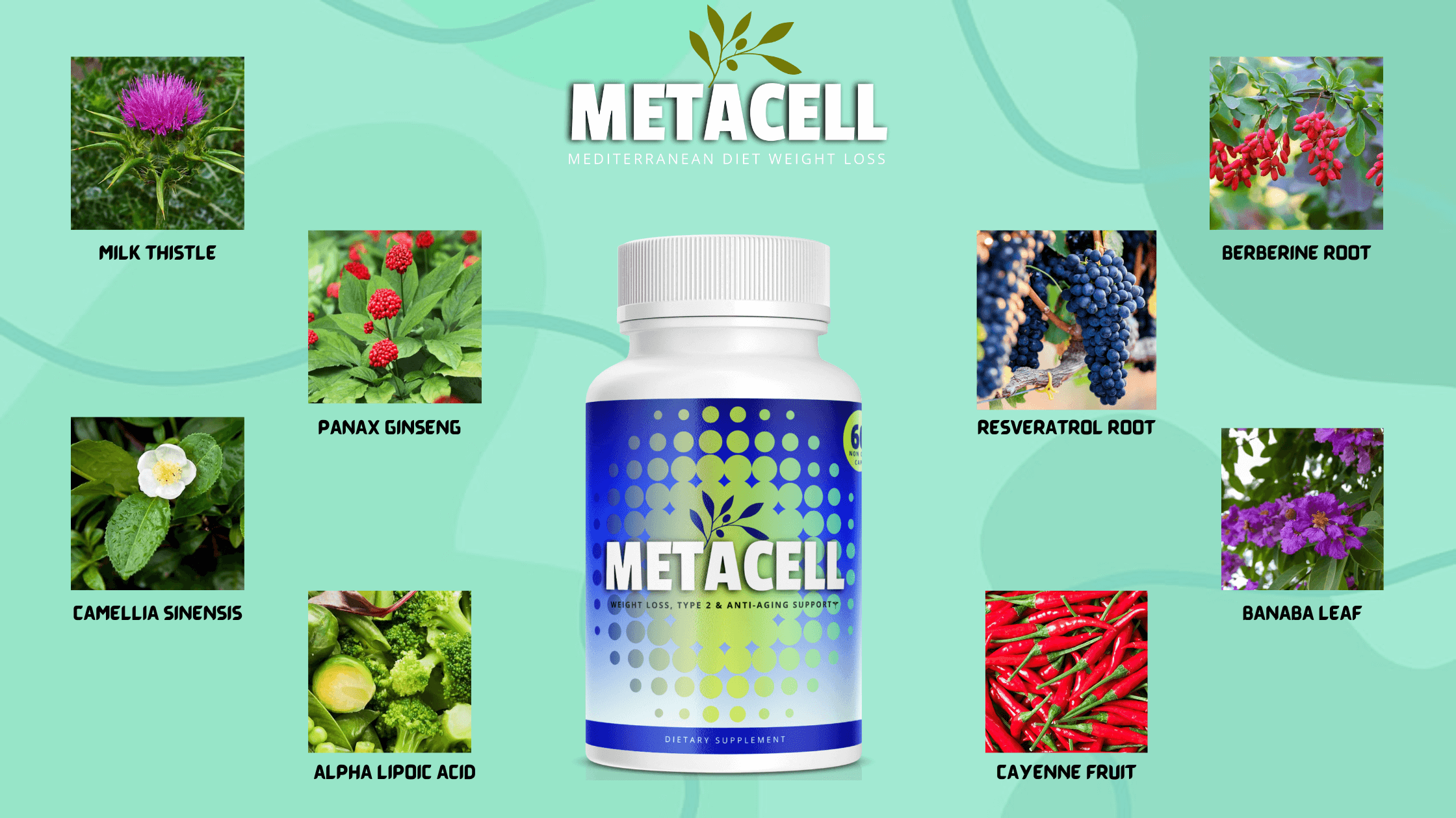 Metacell Ingredients