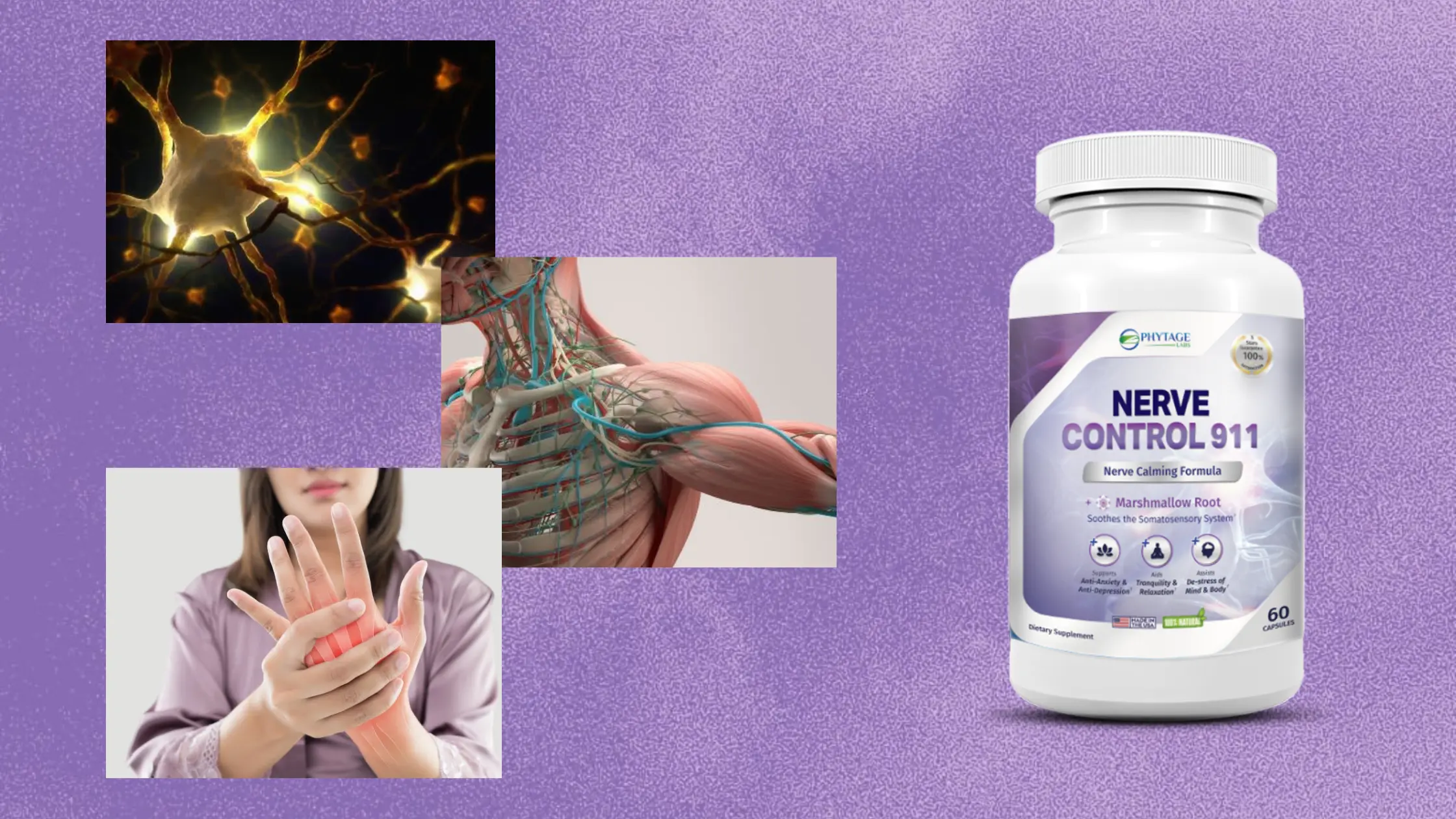 Phytage Labs Nerve Control 911 Supplement