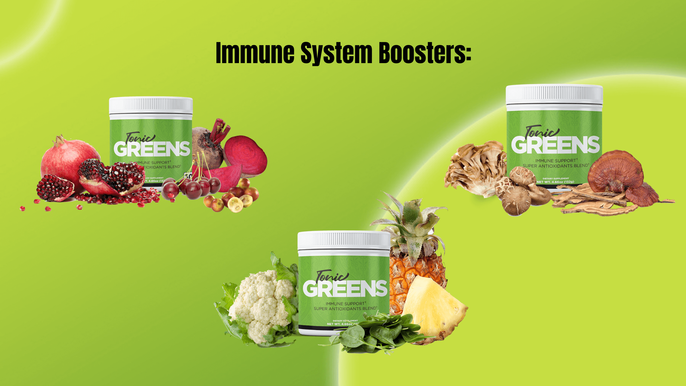 The ultimate IMMUNE-SYSTEM SPECIAL PHYTOMIX