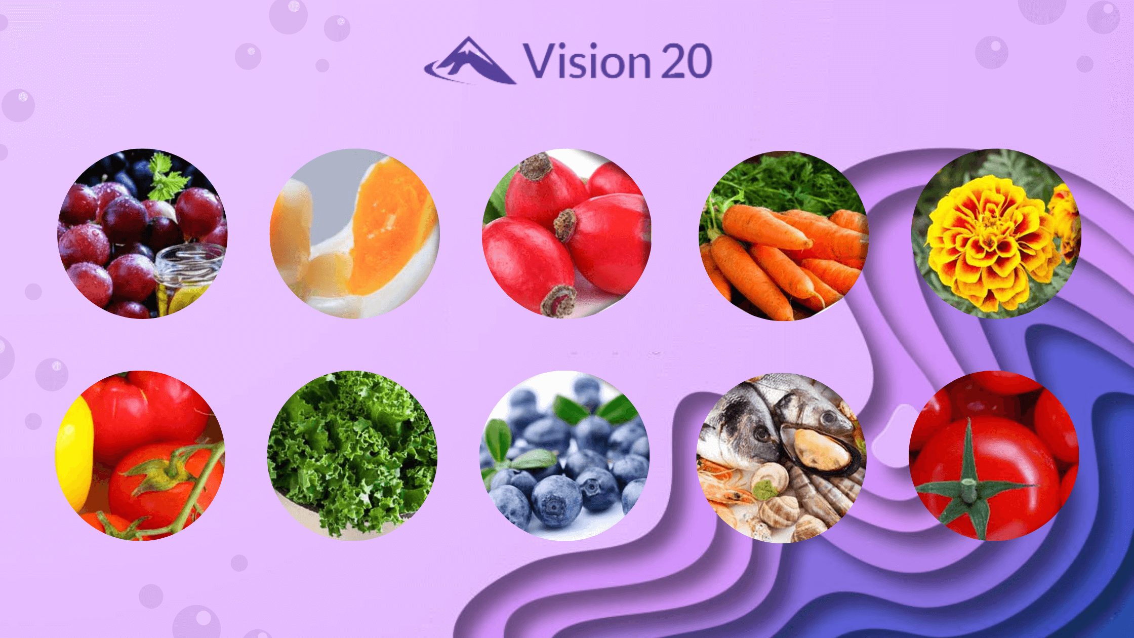 Vision 20 Ingredients