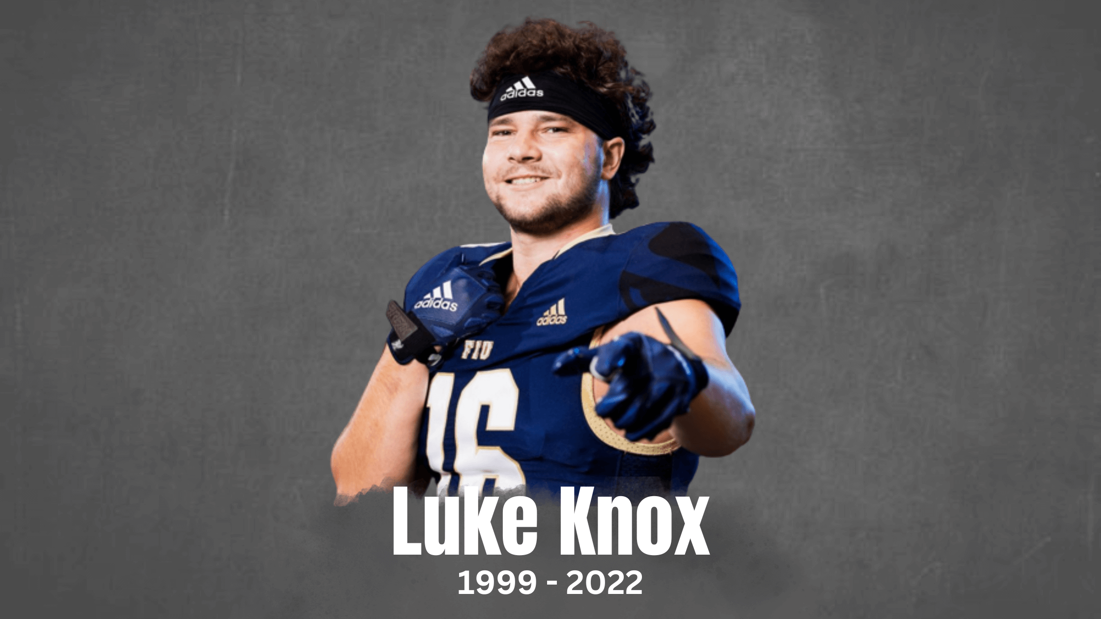 What Happened To The Panther Luke Knox