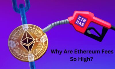 Why Are Ethereum Fees So High How To Calculate The Fees