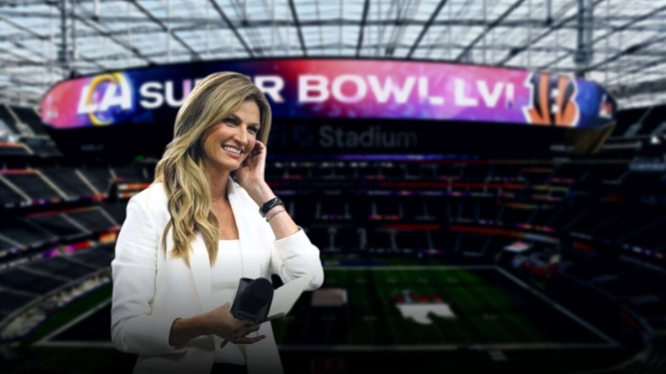 Erin Andrew Covered Interviews In A Sparkling Outfit During Superbowl