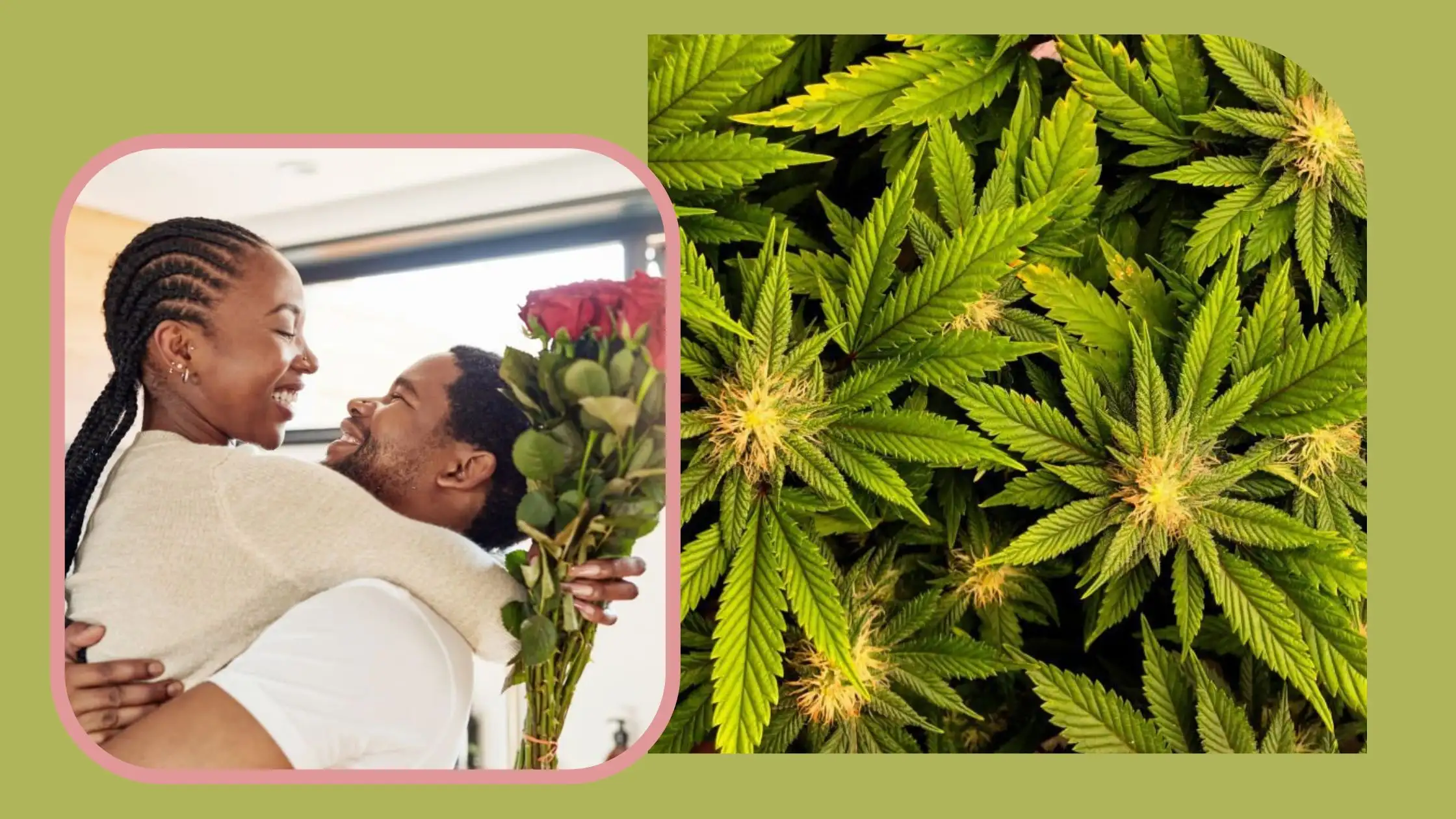 High on Love Why Cannabis Flowers are Stealing the Spotlight from Roses on Valentine's Day - Is it Time for a Change