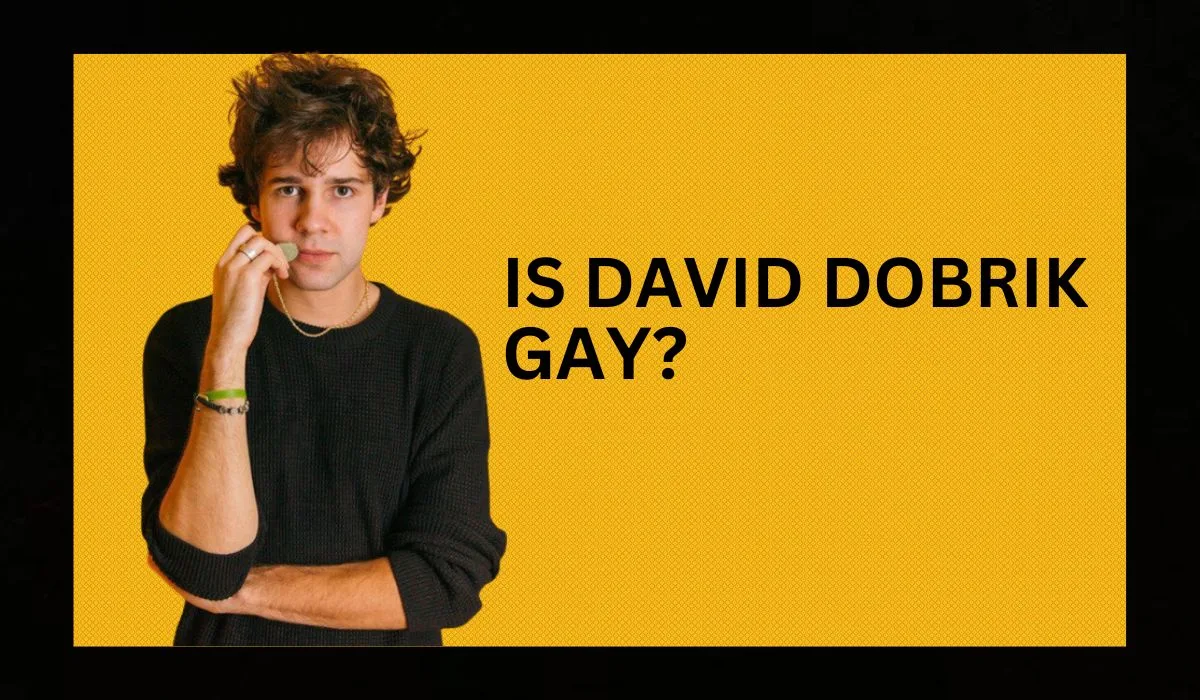 Is David Dobrik Gay? What Is The Truth