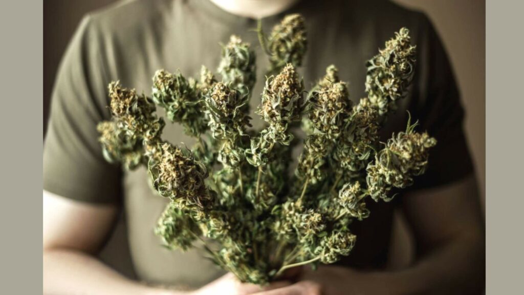 cannabis flower bouquet