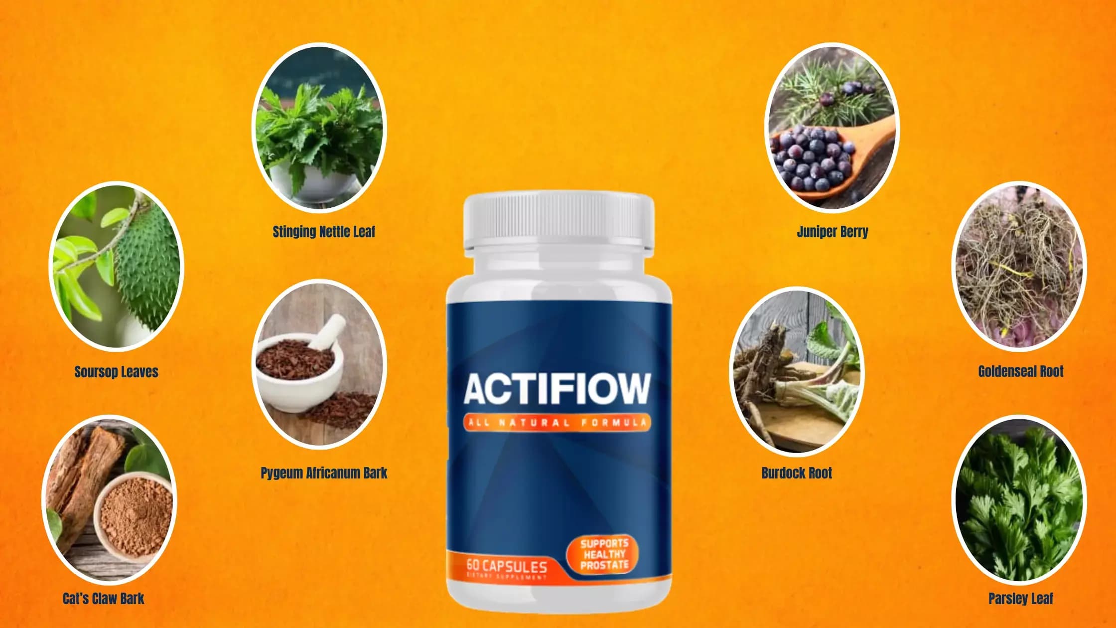 Actiflow Ingredients