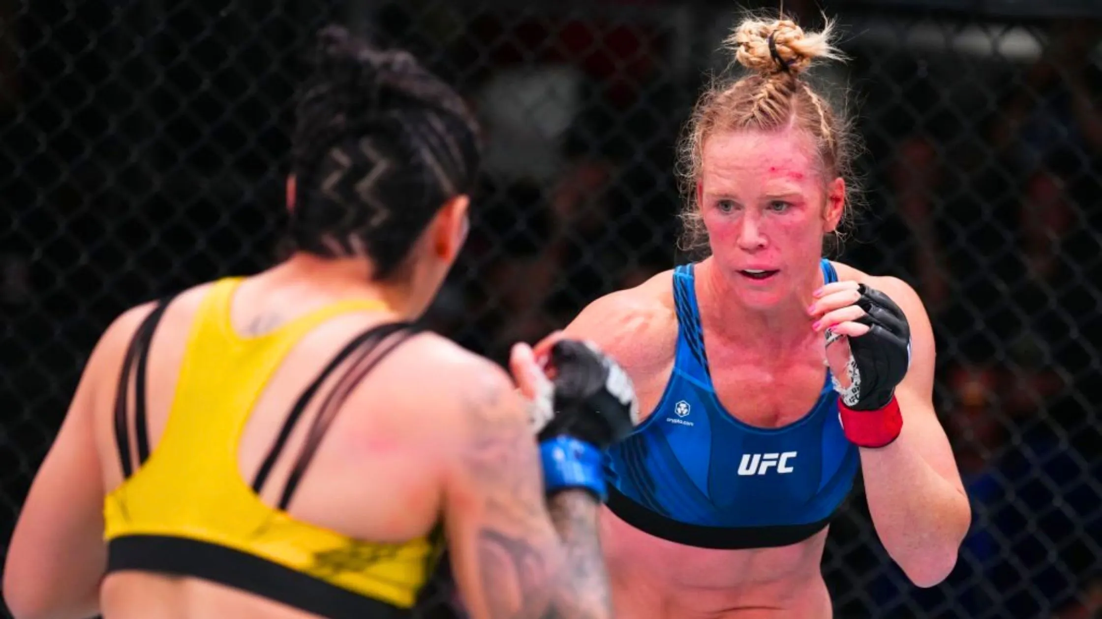 Holly Holm's Career