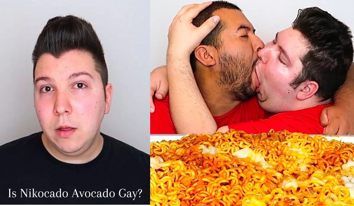 Is Nikocado Avocado gay All You Should Know